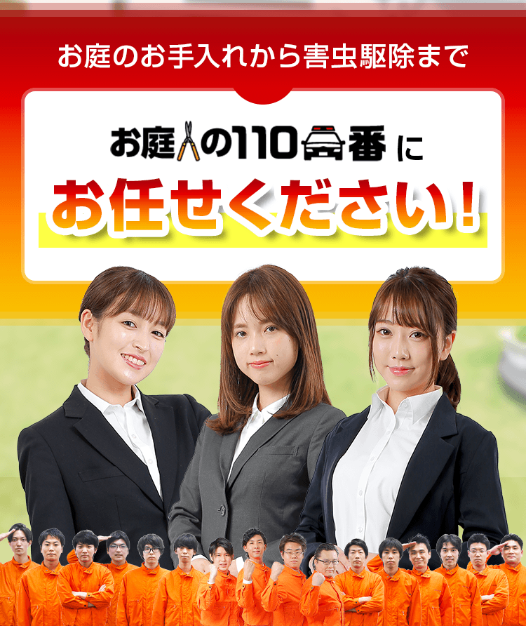 お庭のお手入れから害虫駆除まで お庭の110番にお任せください!