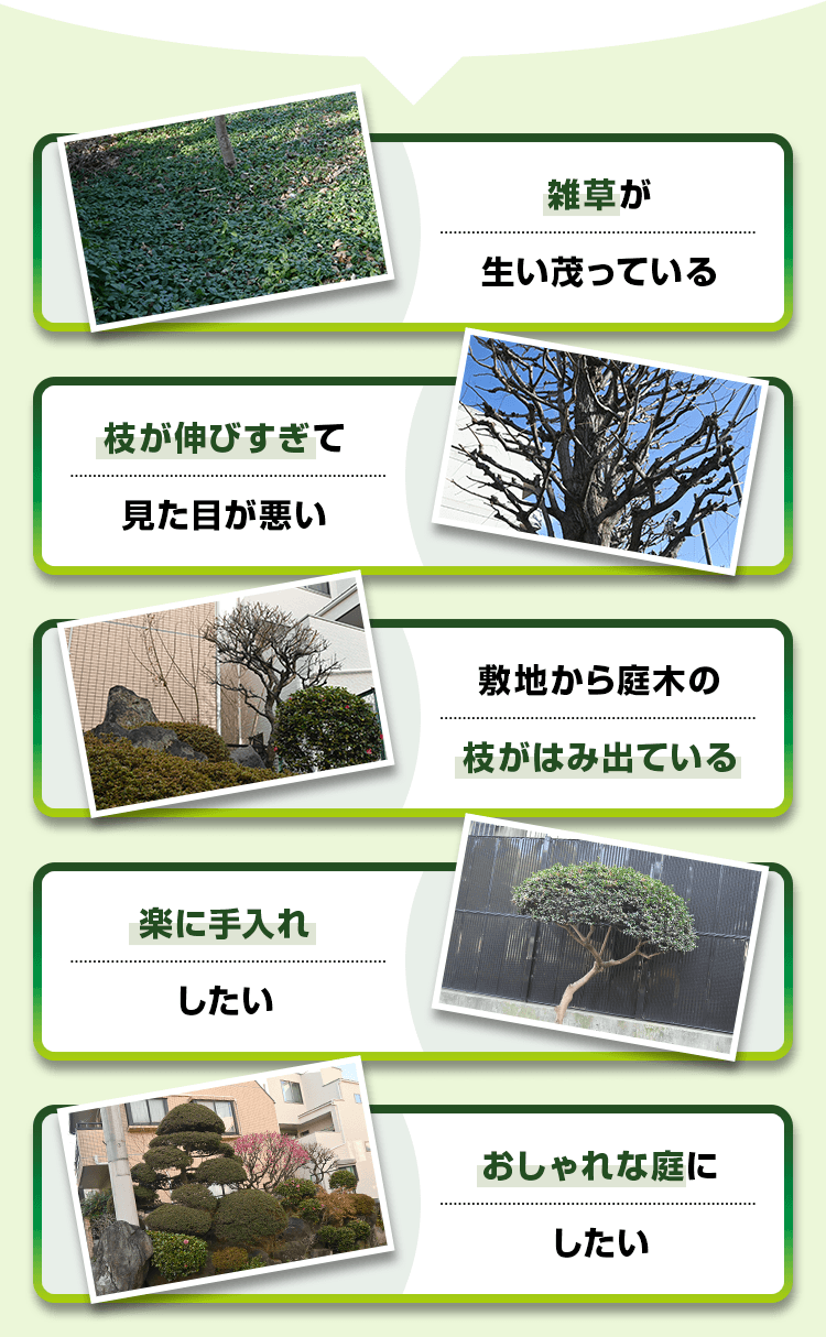 雑草が生い茂っている…枝が伸びすぎて見た目が悪い…